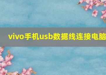 vivo手机usb数据线连接电脑