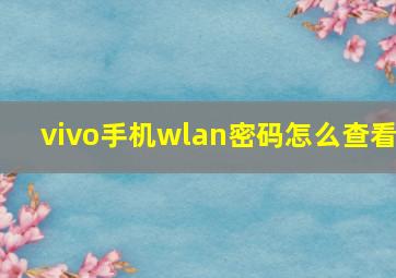 vivo手机wlan密码怎么查看