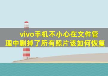 vivo手机不小心在文件管理中删掉了所有照片该如何恢复