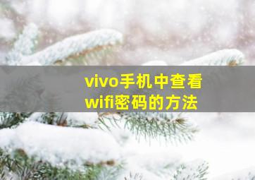 vivo手机中查看wifi密码的方法