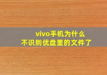 vivo手机为什么不识别优盘里的文件了