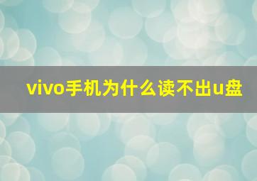 vivo手机为什么读不出u盘