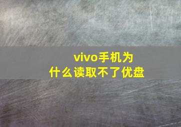 vivo手机为什么读取不了优盘