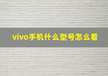 vivo手机什么型号怎么看