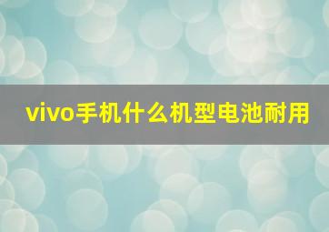 vivo手机什么机型电池耐用