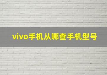 vivo手机从哪查手机型号