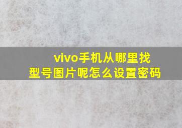 vivo手机从哪里找型号图片呢怎么设置密码