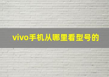 vivo手机从哪里看型号的