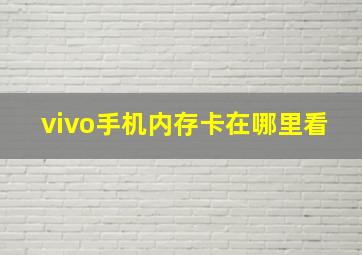 vivo手机内存卡在哪里看