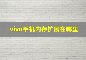 vivo手机内存扩展在哪里