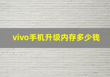 vivo手机升级内存多少钱