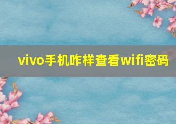 vivo手机咋样查看wifi密码