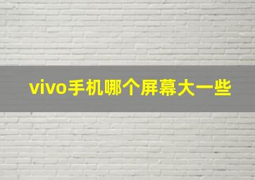 vivo手机哪个屏幕大一些