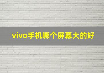 vivo手机哪个屏幕大的好