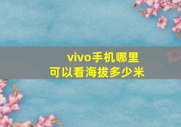 vivo手机哪里可以看海拔多少米