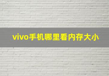 vivo手机哪里看内存大小