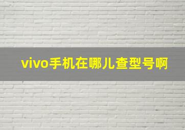 vivo手机在哪儿查型号啊