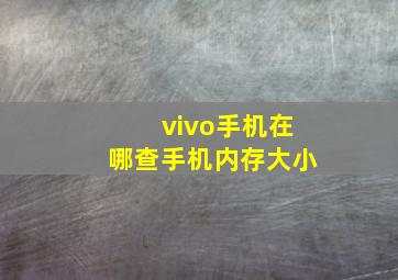 vivo手机在哪查手机内存大小