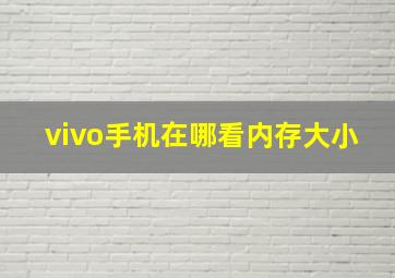 vivo手机在哪看内存大小