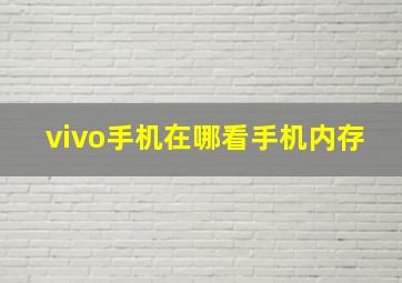 vivo手机在哪看手机内存