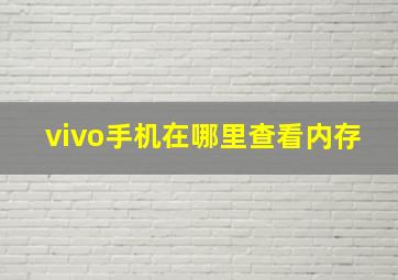 vivo手机在哪里查看内存