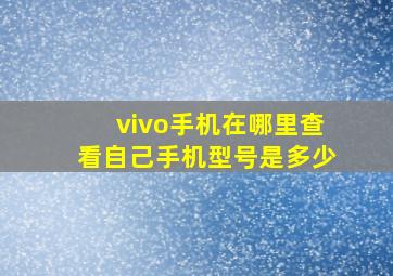 vivo手机在哪里查看自己手机型号是多少