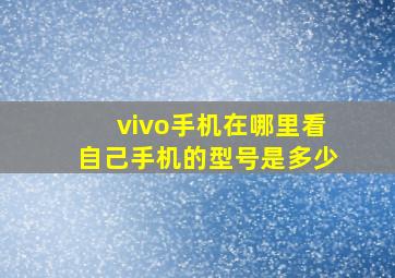 vivo手机在哪里看自己手机的型号是多少