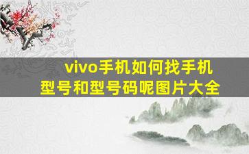 vivo手机如何找手机型号和型号码呢图片大全