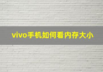 vivo手机如何看内存大小