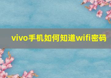 vivo手机如何知道wifi密码