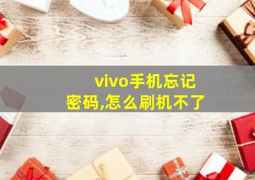 vivo手机忘记密码,怎么刷机不了