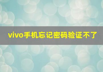 vivo手机忘记密码验证不了