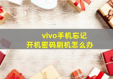 vivo手机忘记开机密码刷机怎么办