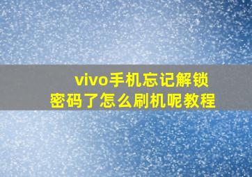 vivo手机忘记解锁密码了怎么刷机呢教程