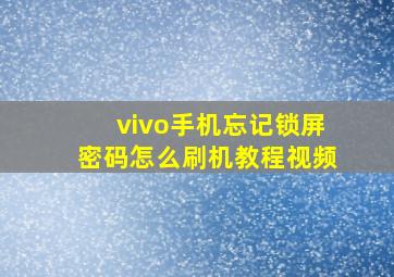 vivo手机忘记锁屏密码怎么刷机教程视频