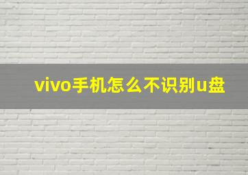 vivo手机怎么不识别u盘