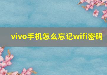 vivo手机怎么忘记wifi密码