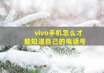 vivo手机怎么才能知道自己的电话号