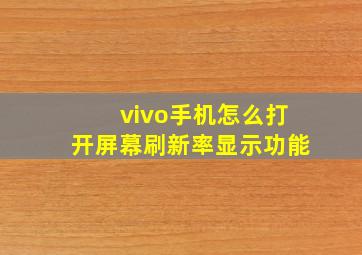 vivo手机怎么打开屏幕刷新率显示功能