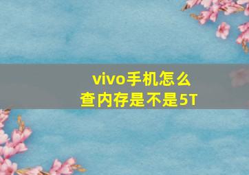 vivo手机怎么查内存是不是5T