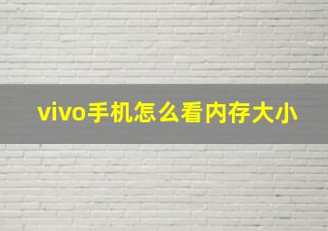 vivo手机怎么看内存大小