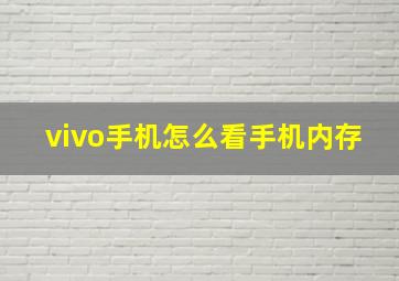 vivo手机怎么看手机内存