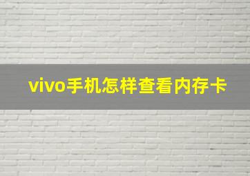 vivo手机怎样查看内存卡