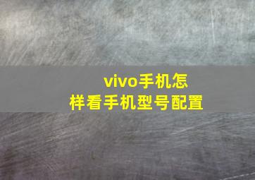 vivo手机怎样看手机型号配置