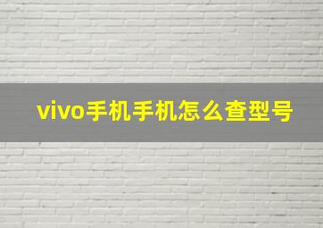 vivo手机手机怎么查型号