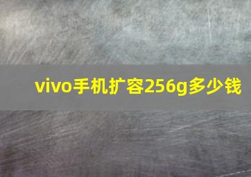 vivo手机扩容256g多少钱