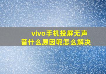 vivo手机投屏无声音什么原因呢怎么解决