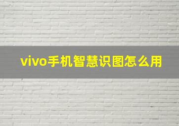 vivo手机智慧识图怎么用