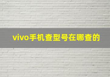 vivo手机查型号在哪查的