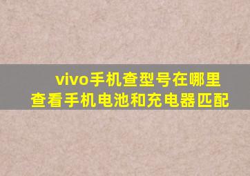 vivo手机查型号在哪里查看手机电池和充电器匹配